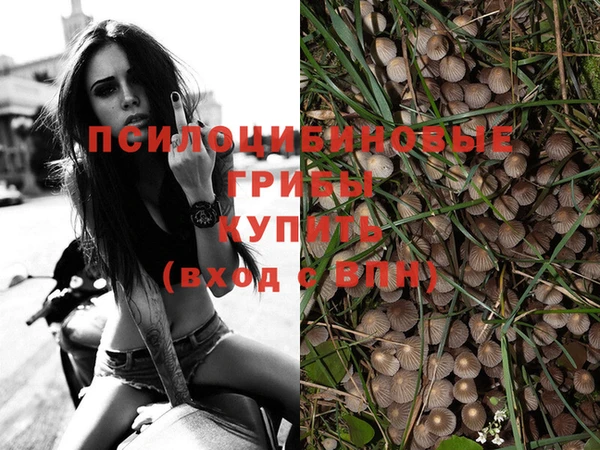 кокаин Богородицк