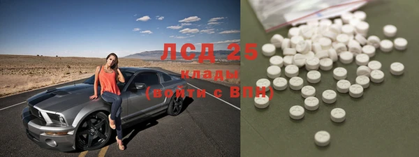 PSILOCYBIN Богородск