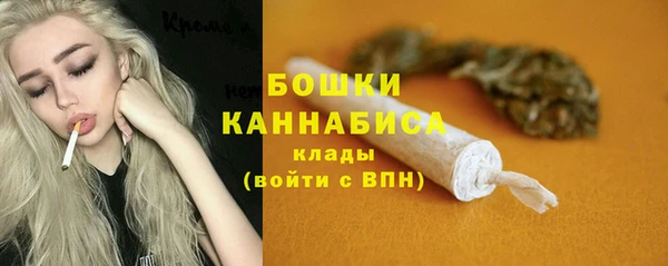 PSILOCYBIN Богородск