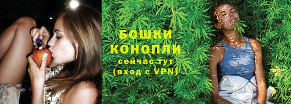 PSILOCYBIN Богородск