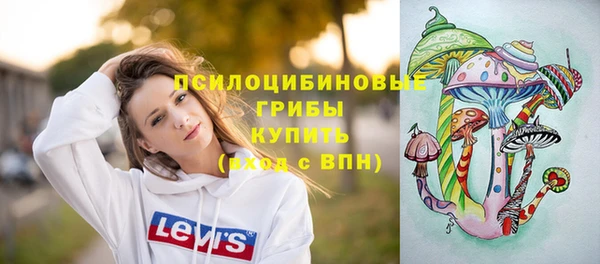 a pvp Богданович