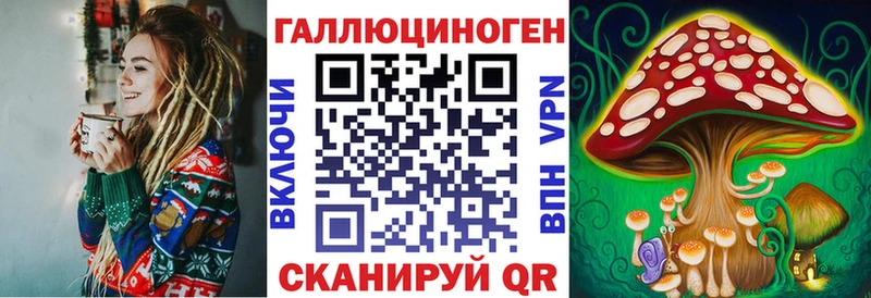 Псилоцибиновые грибы Cubensis  Пионерский 